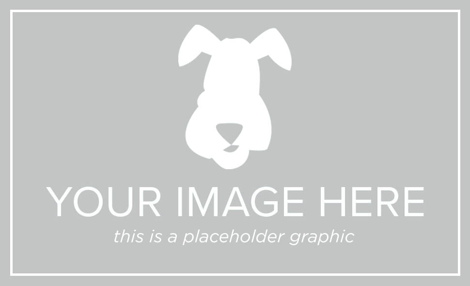 dog-placeholder